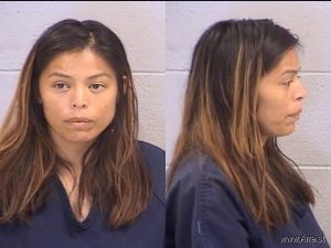 Juliana Washburn Arrest Mugshot