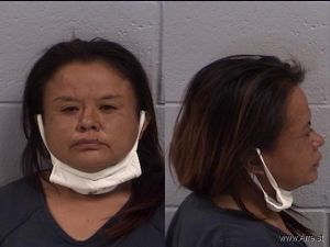 Kamini Harrison Arrest Mugshot