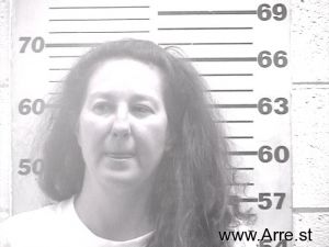 Katrina Abreu-ortiz Arrest Mugshot