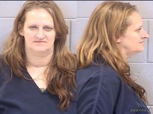 Kimberly Selig Arrest