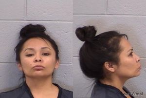 Kristin Begay Arrest Mugshot