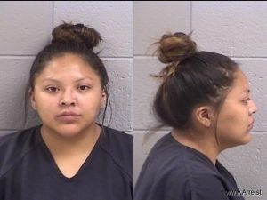 Krystal Sheka Arrest Mugshot