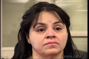 Lisa Chavez Arrest Mugshot