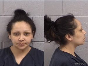 Lanetta Smith Arrest Mugshot