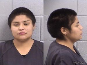 Ledeana Begay Arrest Mugshot