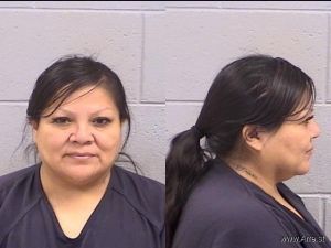 Lenora Begaye Arrest Mugshot