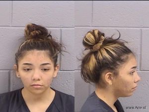 Leslie Hernandez Arrest Mugshot