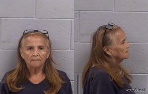 Loretta Anderson Arrest Mugshot