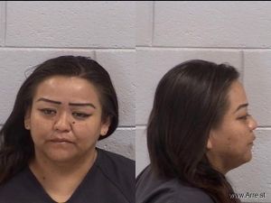 Loretta Pinto Arrest Mugshot