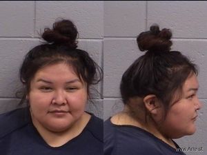 Lori Lopez Arrest Mugshot