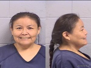 Lynette Bowman Arrest Mugshot