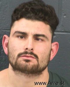 Mario De Avila Arrest Mugshot