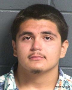 Martin Valles Arrest Mugshot