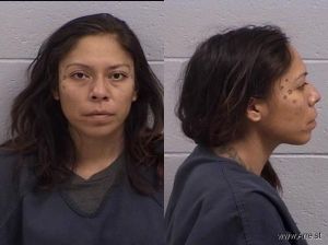 Marissa Jacobson Arrest Mugshot