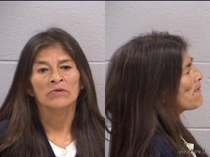 Marlene Harvey Arrest Mugshot