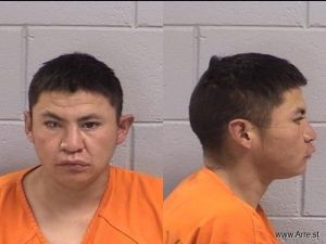 Mcneil Todacheene Arrest Mugshot