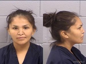 Melanie Hot Arrest Mugshot