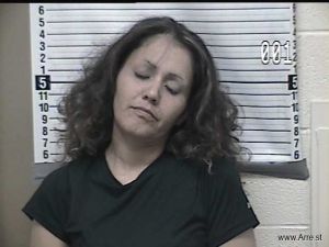 Melissa Montenegro Arrest Mugshot