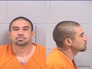 Michael Gustamantes Arrest