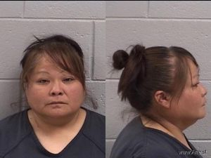 Michaelena Begay Arrest Mugshot