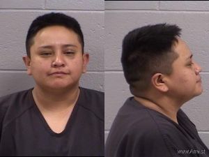 Michelle Arellano Arrest Mugshot