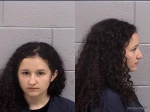 Michelle Delgadillo Arrest Mugshot