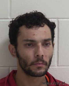 Mykael Telles Arrest Mugshot