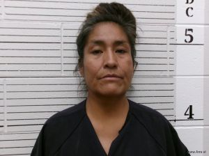 Myra Herrera Arrest Mugshot
