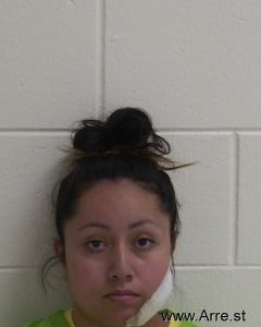 Nancy Ramos Arrest Mugshot