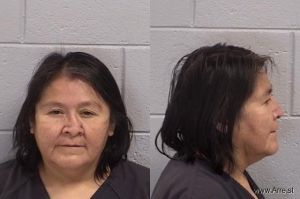 Norine Chee Arrest Mugshot