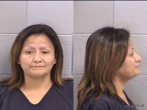 Norma Singer Arrest Mugshot