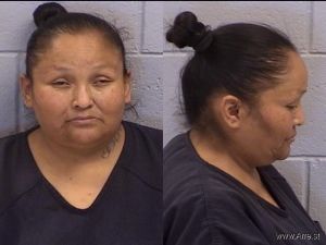 Phillisha Castillo Arrest Mugshot