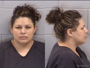Rebecca Estrada Arrest Mugshot