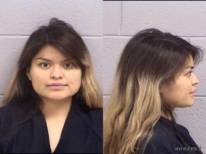 Rebecca Platero Arrest Mugshot