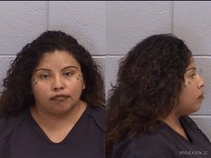 Regina Garfield Arrest Mugshot