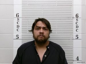 Reyes Salas Arrest Mugshot