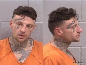 Robert Tomsic Arrest Mugshot