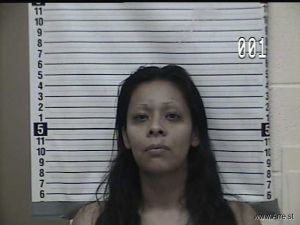 Rosa Gonzalez Arrest Mugshot