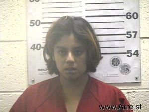 Rosaviza Acevedo Arrest Mugshot