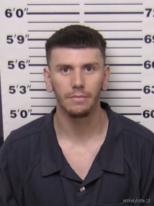 Ryan Jenkins Arrest Mugshot