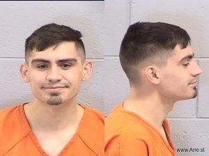 Ryan Molina Arrest Mugshot
