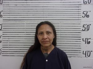 Sabrina Mexicano Arrest Mugshot