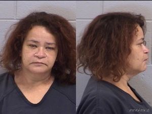 Sandra Lewallen Arrest Mugshot