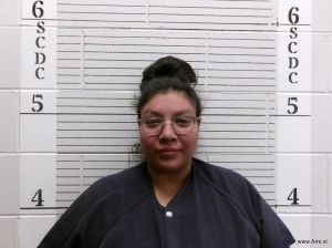 Selena  Saavedra Arrest Mugshot