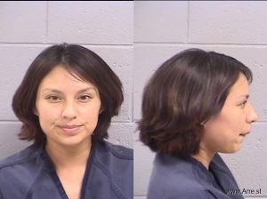 Shanna Castillo Arrest Mugshot