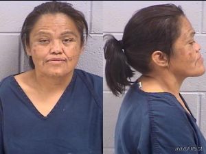 Sharon Wagon Arrest Mugshot