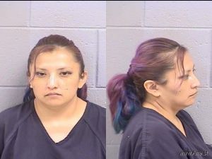 Sherry Thomas Arrest Mugshot