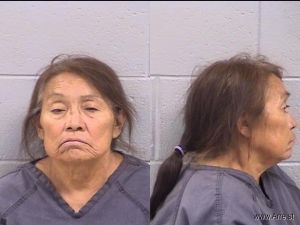 Shirley Yazzie Arrest Mugshot