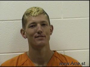 Styler Harris Arrest Mugshot