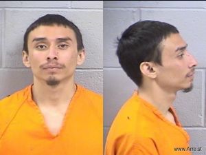 Sullivan Sanchez Arrest